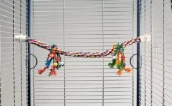 Beeztees Papegaaien Zitstok