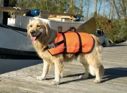 Beeztees Zwem En Veiligheidsvest