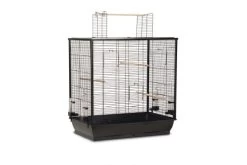 Beeztees Vogelkooi Fiona Open Zwart 70x40x80 Cm
