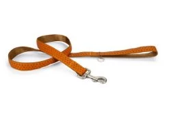 Beeztees Hondenriem Mac Leather 120cm X 25mm Bruin