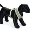 Beeztees Puppy Tuig - Geel - Maat L