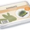 Beeztees Knaagdiergras 130 G