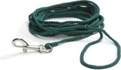 Beeztees Zoeklijn Groen 10 M