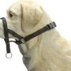 Beeztees Hondenhalsband Dog Control Zwart M