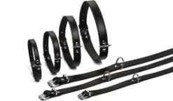 Beeztees Hondenhalsband Zwart 47 X 18 Cm