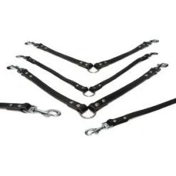 Beeztees Lederen Koppellijn Voor 2 Honden Zwart - 30 Cm X 18 Mm -Beeztees 8712695052968 ipts koppel 2 hond zwt 30x12 0 300x300