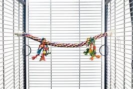 Beeztees Vogelspeelgoed Papegaaien Zitstok 80 X 3 Cm 3 Beeztees Vogelspeelgoed Papegaaien Zitstok 80 X 3 Cm