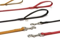 Beeztees Hondenlooplijn 120 X 1,5 Cm Zwart