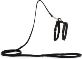 Beeztees Kattentuigje Zwart 130 X 1 Cm 3 Beeztees Kattentuigje Zwart 130 X 1 Cm