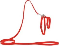 Beeztees Kattentuigje Rood 130 X 1 Cm