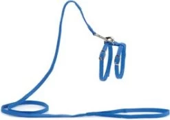 Beeztees Kattentuigje Blauw 130 X 1 Cm