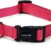 Beeztees Hondenhalsband Uni Roze 35-50 Cm X 20 Mm