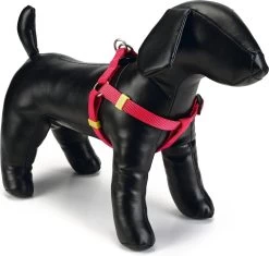 Beeztees Hondentuig Uni Roze 35-60 X 1,5 Cm