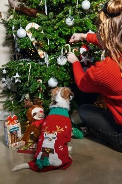 Beeztees Hondenkoekjes Kerst 160 G -Beeztees 8712695149170 2