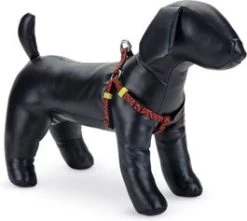 Beeztees Hondentuig Scribbles Zwart 35-60 X 1,5 Cm