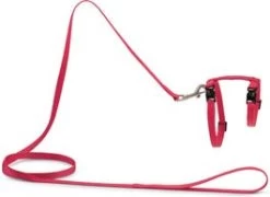 Beeztees Kattentuigje Uni Roze 130 X 1 Cm