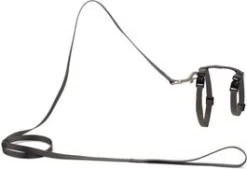 Beeztees Kattentuigje Uni Grijs 130 X 1 Cm