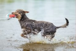 Beeztees Hondenspeelgoed Mello Rood / Groen 21 X 11 X 4 Cm -Beeztees 8712695176008 5