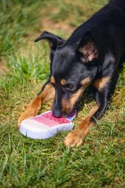 Beeztees Hondenspeelgoed Ice Cream Roze 22 X 8 X 3 Cm -Beeztees 8712695176015 4