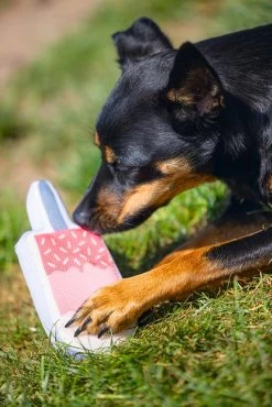 Beeztees Hondenspeelgoed Ice Cream Roze 22 X 8 X 3 Cm -Beeztees 8712695176015 5