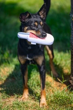 Beeztees Hondenspeelgoed Ice Cream Roze 22 X 8 X 3 Cm -Beeztees 8712695176015 6