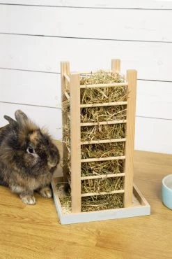 Beeztees Hooicontainer Denga Groen 22 X 22 X 35 Cm 5 Beeztees Hooicontainer Denga Groen 22 X 22 X 35 Cm -Beeztees 8712695176831 2