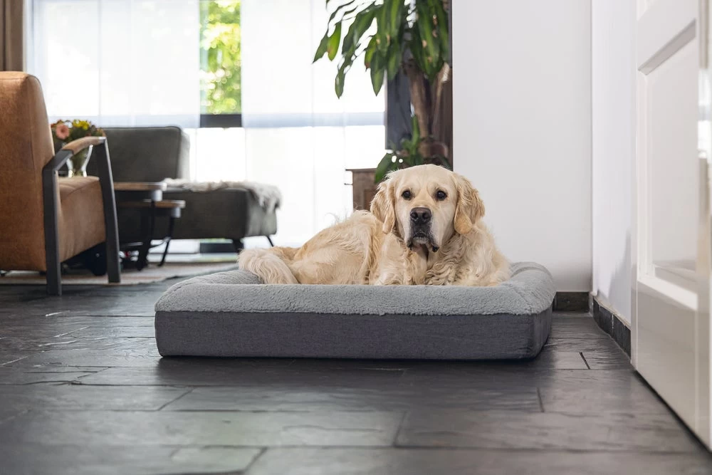 Beeztees Orthopedisch Hondenkussen Yura Grijs 100 X 70 X 15 Cm 5 Beeztees Orthopedisch Hondenkussen Yura Grijs 100 X 70 X 15 Cm - Afbeelding 3
