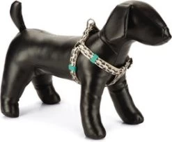 Beeztees Hondentuig Eyes Beige 35-60 X 1,5 Cm