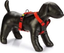 Beeztees Hondentuig Parinca Premium Rood 45-57 X 2 Cm