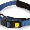 Beeztees Hondenhalsband Parinca Premium Blauw 35-40 X 2 Cm -Beeztees 8712695183556