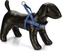 Beeztees Hondentuig Parinca Premium Comfort Blauw 32-42 X 2 Cm