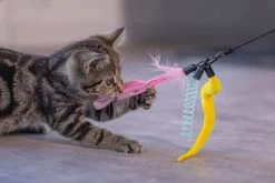 Beeztees Kattenspeelgoed Hengel Kocka 75 Cm -Beeztees 8712695185840 4