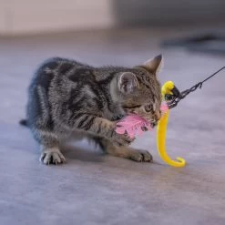 Beeztees Kattenspeelgoed Hengel Kocka 75 Cm -Beeztees 8712695185840 5