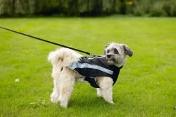 Beeztees Hondenjas Saby Zwart / Blauw 32 X 40 X 1 Cm 27 Beeztees Hondenjas Saby Zwart / Blauw 32 X 40 X 1 Cm -Beeztees 8712695196211 13