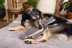 Beeztees Hondenspeelgoed Minus One Inktvis Grijs/beige 56 X 10 X 9 Cm -Beeztees 8712695197102 3