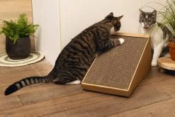 Beeztees Krabplank Minus One Bruin 49 X 25 X 24,5 Cm -Beeztees 8712695197218 5