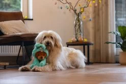 Beeztees Knuffel Paasbeer Barry 38 X 25 X 16 Cm -Beeztees 8712695198116 2