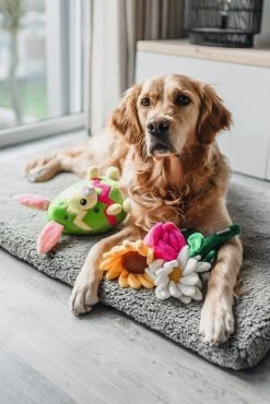 Beeztees Knuffel Bloem Daisy 30 X 16 X 4 Cm -Beeztees 8712695198130 3