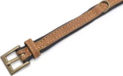 Beeztees Hondenhalsband Balacron Ax Bruin 21-26 X 1 Cm -Beeztees 8712695198413 4