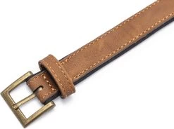 Beeztees Hondenhalsband Balacron Ax Bruin 36-44 X 2 Cm -Beeztees 8712695198451 3