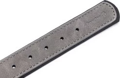 Beeztees Hondenhalsband Balacron Ax Grijs 38-48 X 2,5 Cm -Beeztees 8712695198703 3