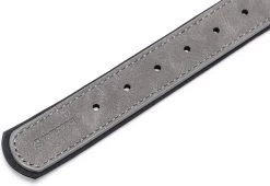 Beeztees Hondenhalsband Balacron Ax Grijs 38-48 X 2,5 Cm -Beeztees 8712695198703 4