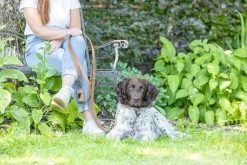 Beeztees Poepzakjes Houder Balacron Bruin 8 X 5 X 5 Cm 7 Beeztees Poepzakjes Houder Balacron Bruin 8 X 5 X 5 Cm -Beeztees 8712695198895 2