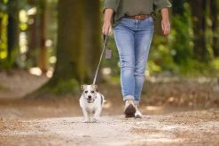 Beeztees Poepzakjes Houder Balacron Grijs 8 X 5 X 5 Cm -Beeztees 8712695198918 2