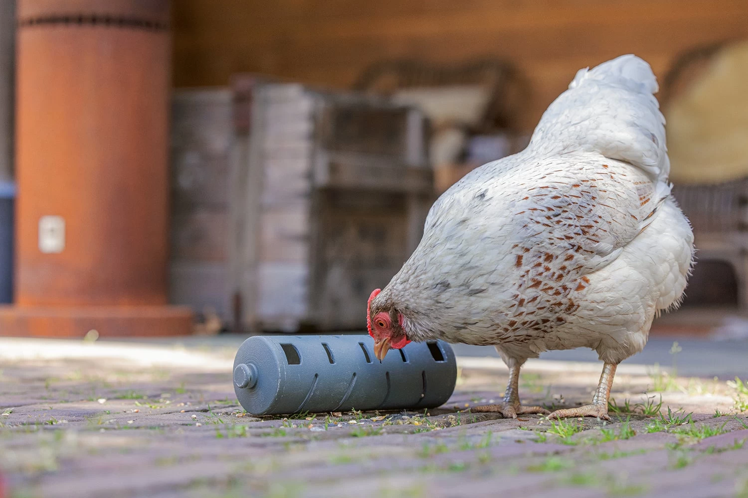 Beeztees Kippenvoerbak Snackroller Grijs 22,5 X 6,5 X 6,5 Cm 9 Beeztees Kippenvoerbak Snackroller Grijs 22,5 X 6,5 X 6,5 Cm - Afbeelding 7