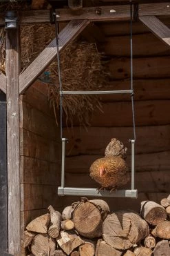 Beeztees Speelschommel Kippen Grijs 40 X 5 X 30 Cm 22 Beeztees Speelschommel Kippen Grijs 40 X 5 X 30 Cm -Beeztees 8712695201373 8