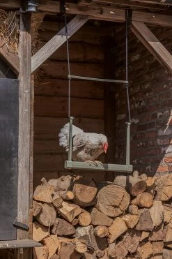 Beeztees Speelschommel Kippen Grijs 40 X 5 X 30 Cm 23 Beeztees Speelschommel Kippen Grijs 40 X 5 X 30 Cm -Beeztees 8712695201373 9