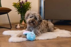 Beeztees Knuffel Paaskonijn Flip 21 X 11 X 8,5 Cm 5 Beeztees Knuffel Paaskonijn Flip 21 X 11 X 8,5 Cm -Beeztees 8712695201632 2