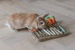 Beeztees Speelmat 30,5 X 30,5 X 8 Cm -Beeztees 8712695202479 4