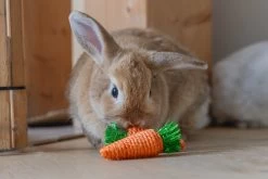 Beeztees Speelmat 30,5 X 30,5 X 8 Cm -Beeztees 8712695202479 7